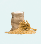 Wheat