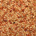 Matki